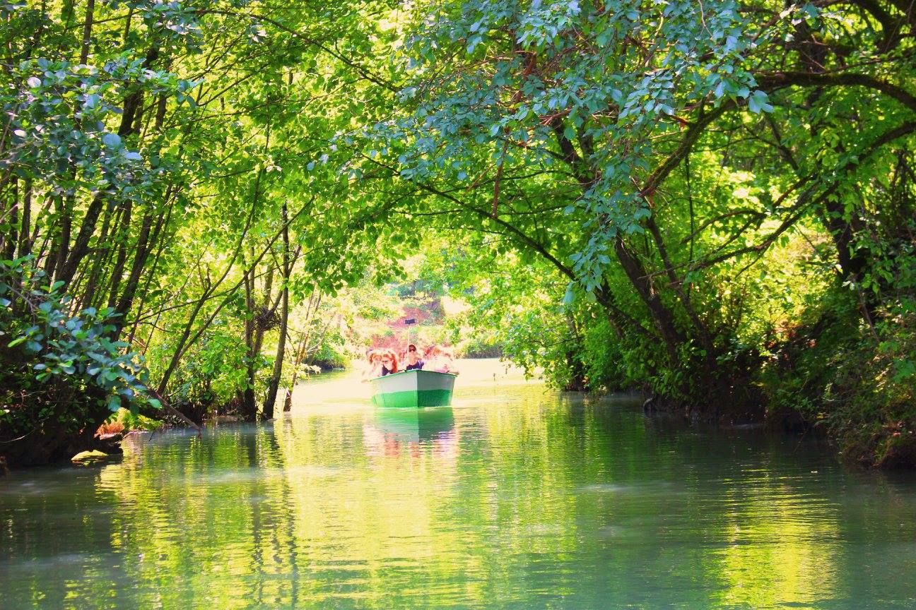 Boat Trip